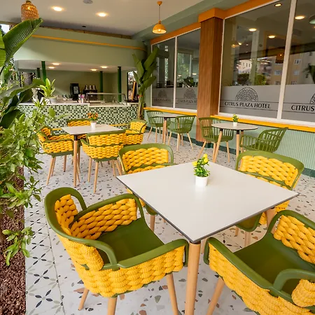 Artemis Princess Complex 4*